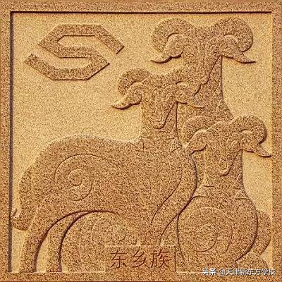世界之大丨中华56个民族图腾到底是什么，又有哪些含义？