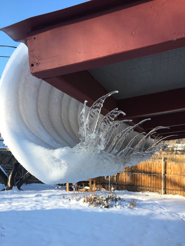 45张罕见的雪景照片：雪后的白菜地密集恐惧症慎入