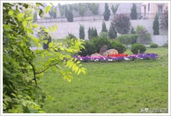 大连24中学和大连育明高中的官方简介，送给2020届初三学生