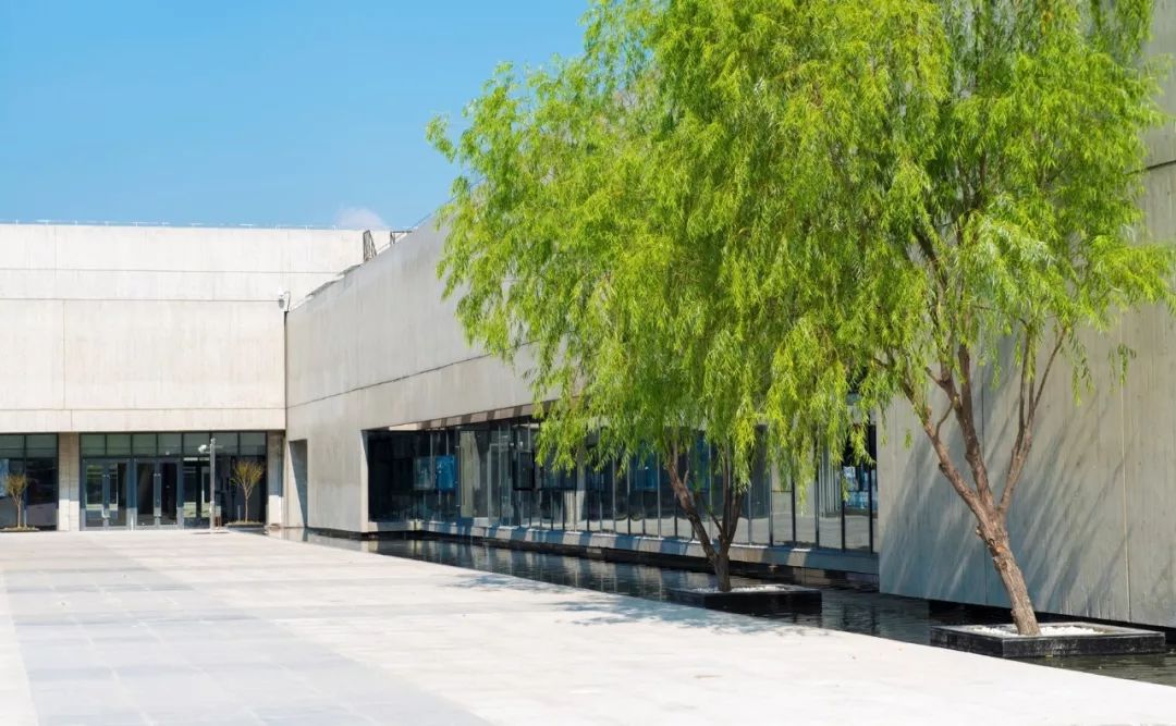 魔都上海这些年，适合翻拍流星花园的私立学校：颜值高，学生棒！