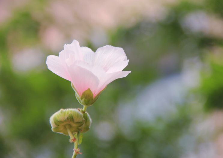 如果你爱上了一个有家庭的男人，要学会如此做