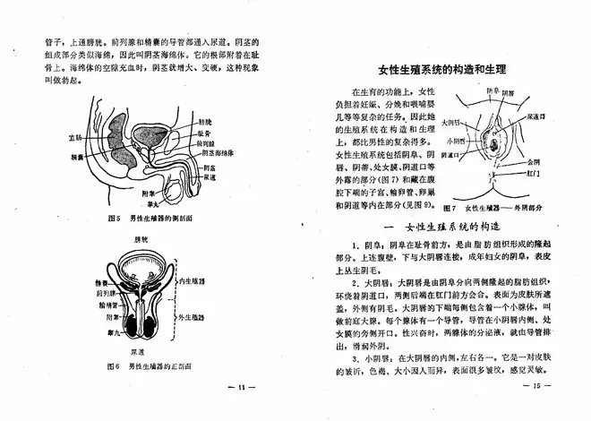 在性教育方面，中国人，你旷课了