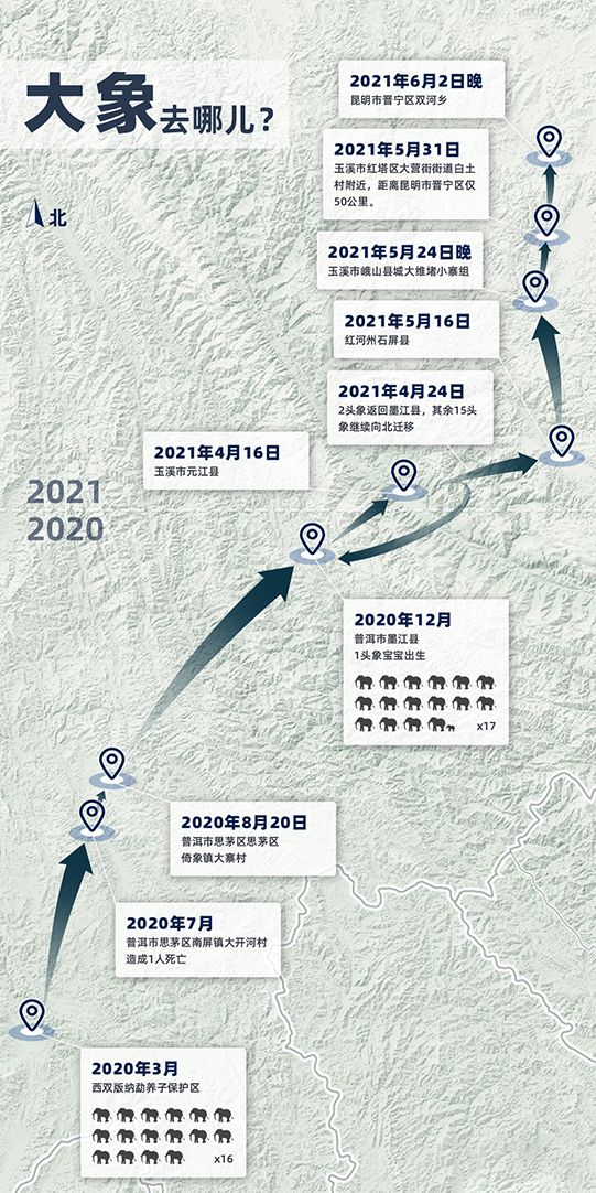 云南野象调头南下，能否找到它们的家园？人象关系会继续恶化吗？