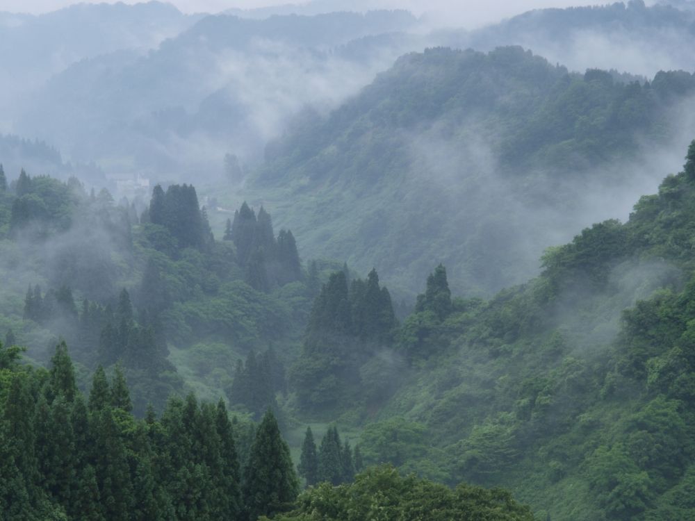青山挑得柴，乡村炊烟香
