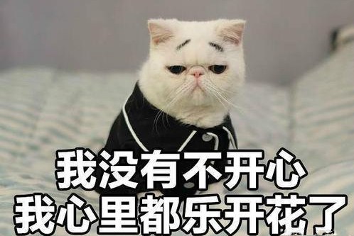 考研参考文献查找方法与技巧