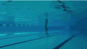 不克服这三个腿姿错误，蛙泳怎么会游得快？