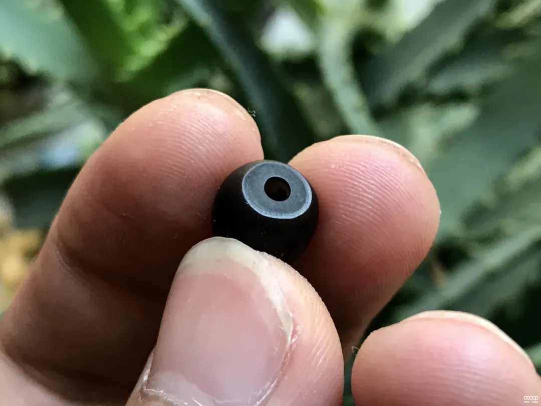 它是最古老的菩提手串,一斤才几十元,随便盘盘就出玻璃底