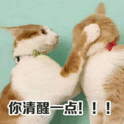 高一高二基本没学过，高三还有救吗？