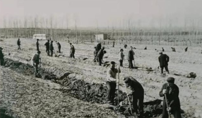 听闻儿子为国捐躯，母亲伤心欲绝，17年后北京来信：儿子接您入京