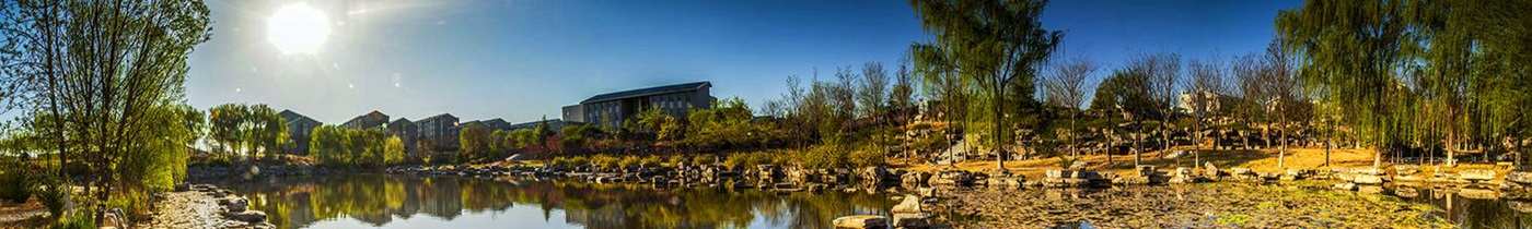 山东财经大学2021年各专业录取分数线！仅供2022年考生参考