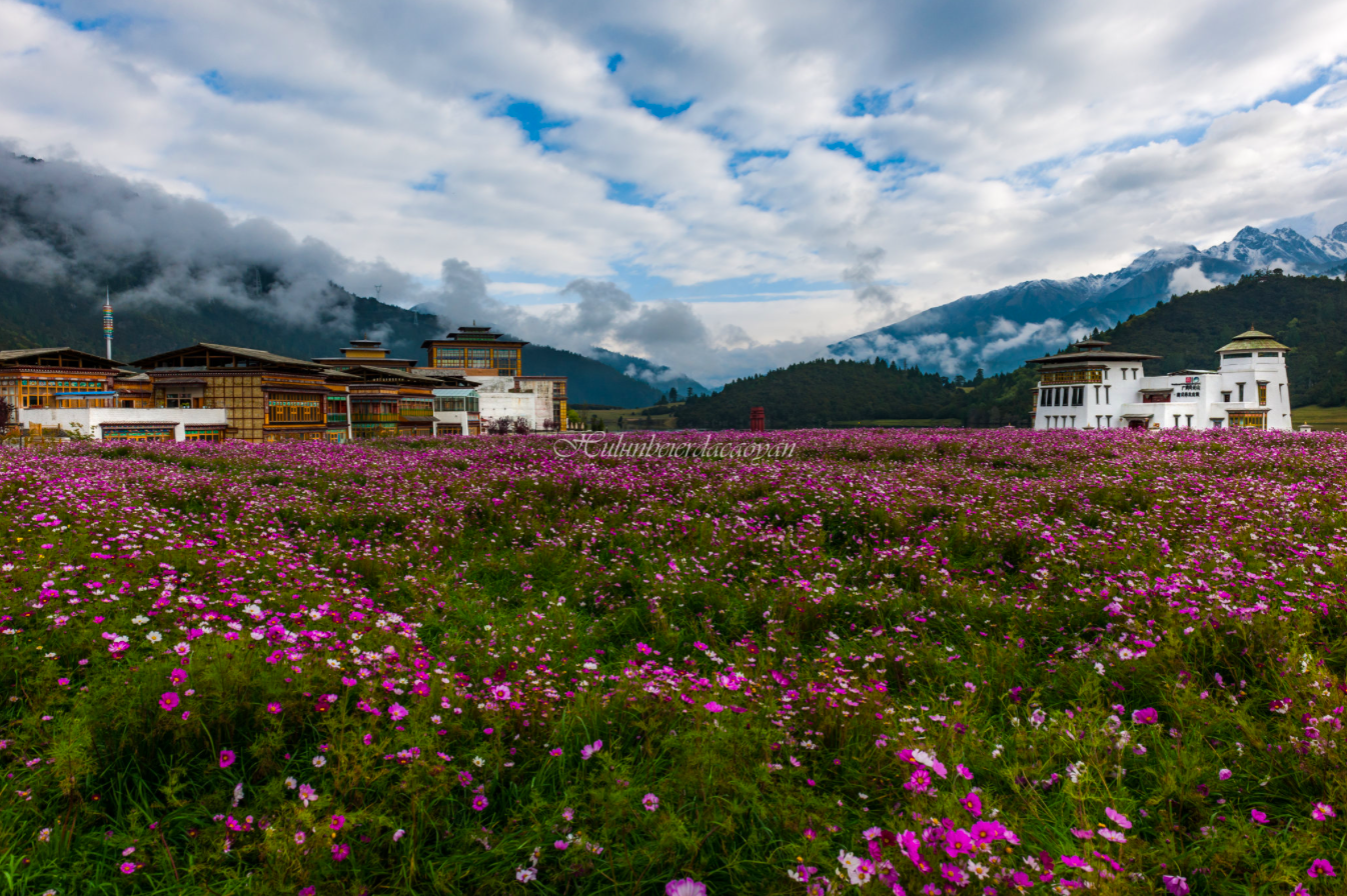 林芝地区的景点_西藏林芝风景图片 密云旅游