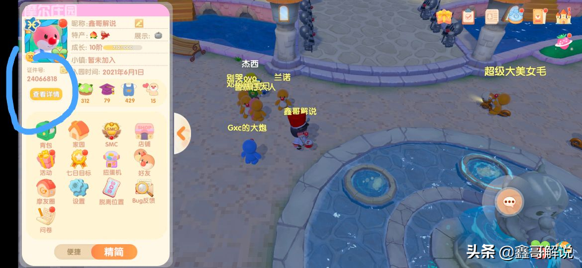 《摩尔庄园》攻略技巧,新手注意事项集合