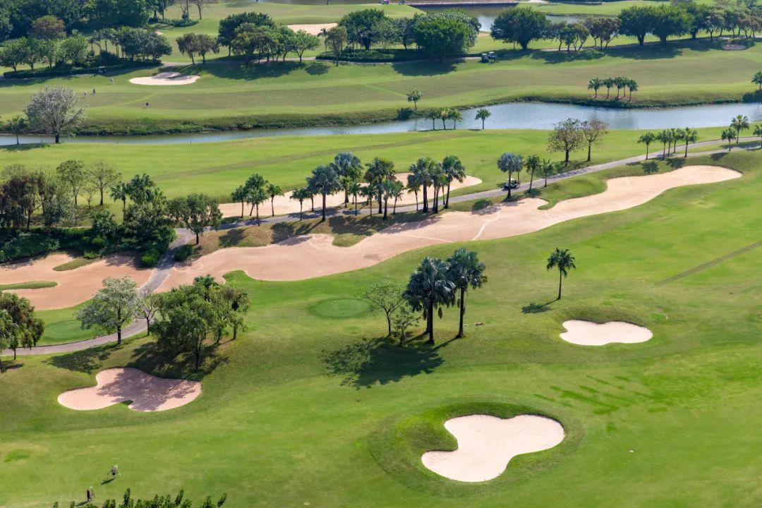 如果给你个机会买入“10年前的深圳”，你还会错过么？