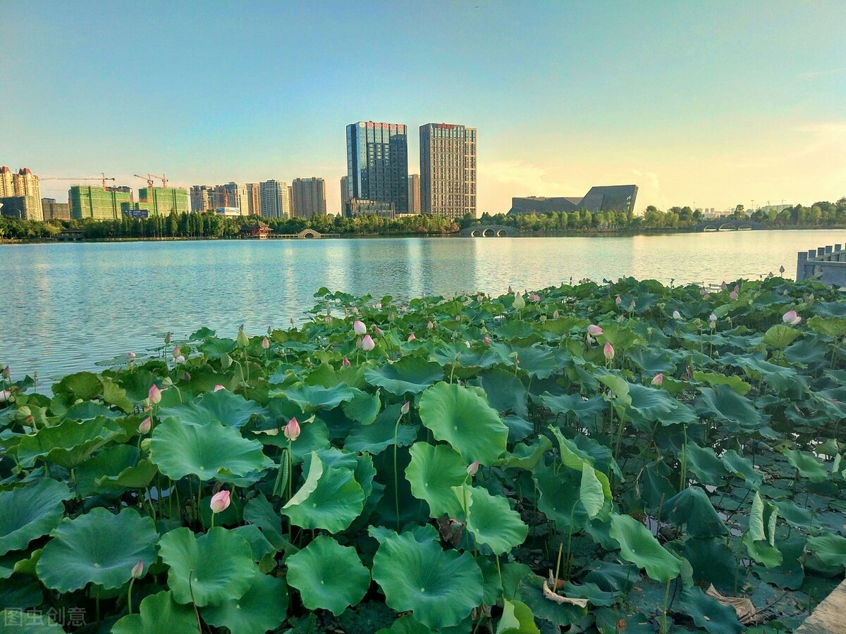 这5所高校改名很成功，从小有名气到区域知名高校，实力增强很快