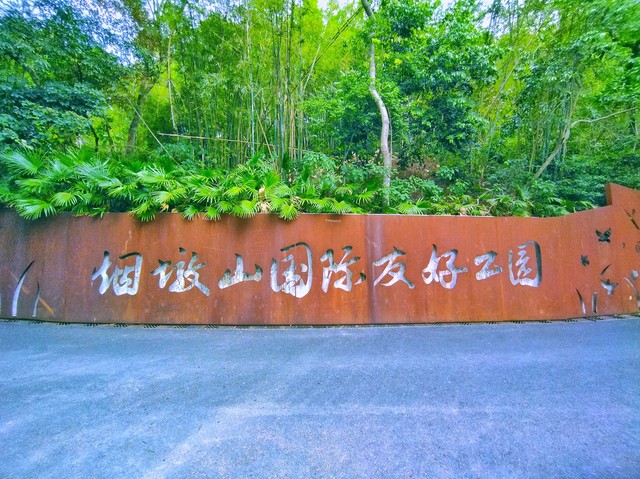 深圳十大免费少人知可以观海的公园