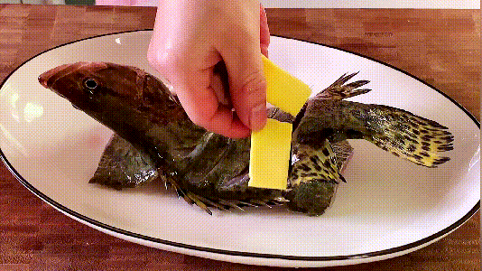 清蒸桂魚的做法視頻,清蒸桂魚的家常做法 清蒸桂魚的做法視頻