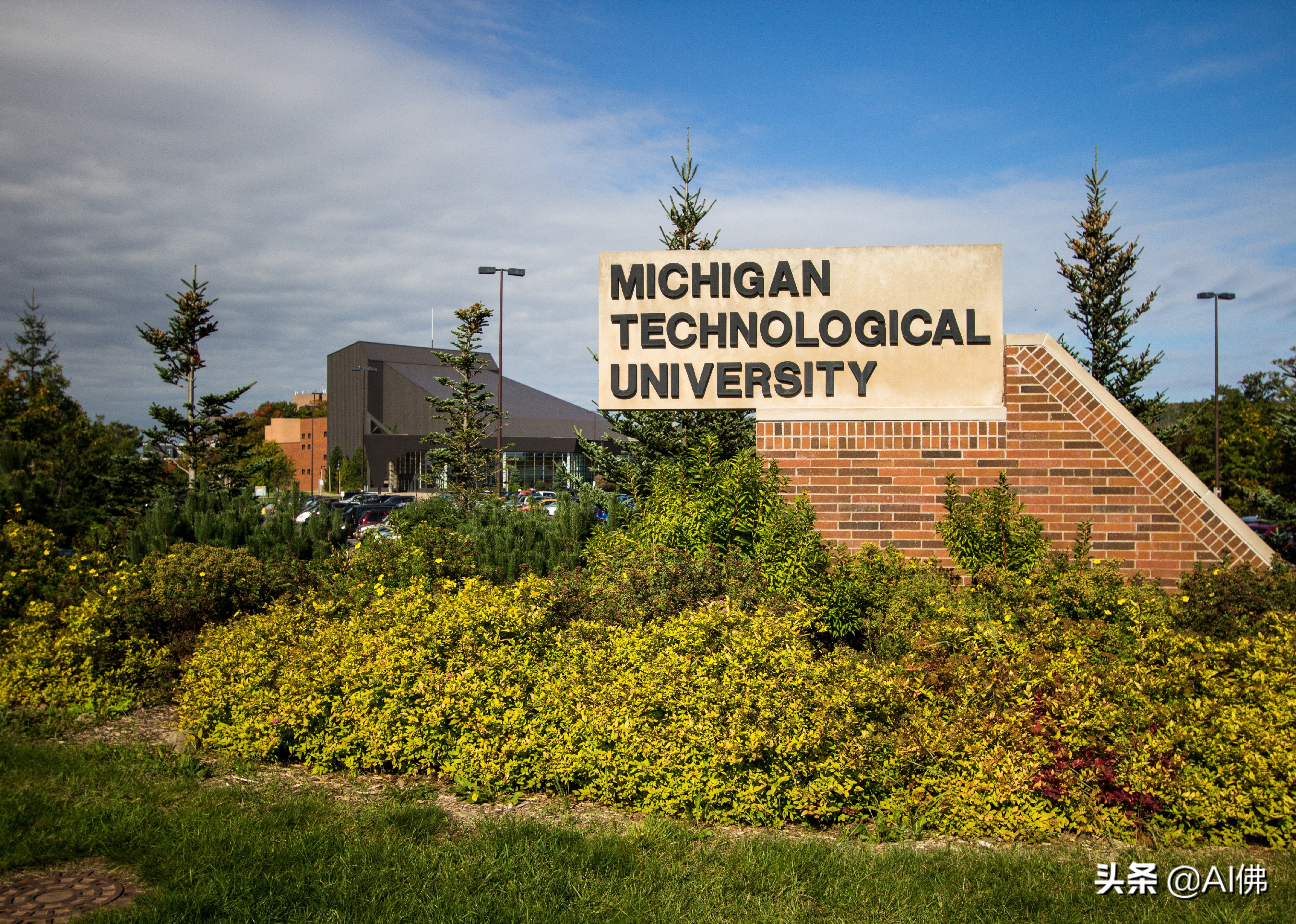 美国每个州ROI最高的公立大学