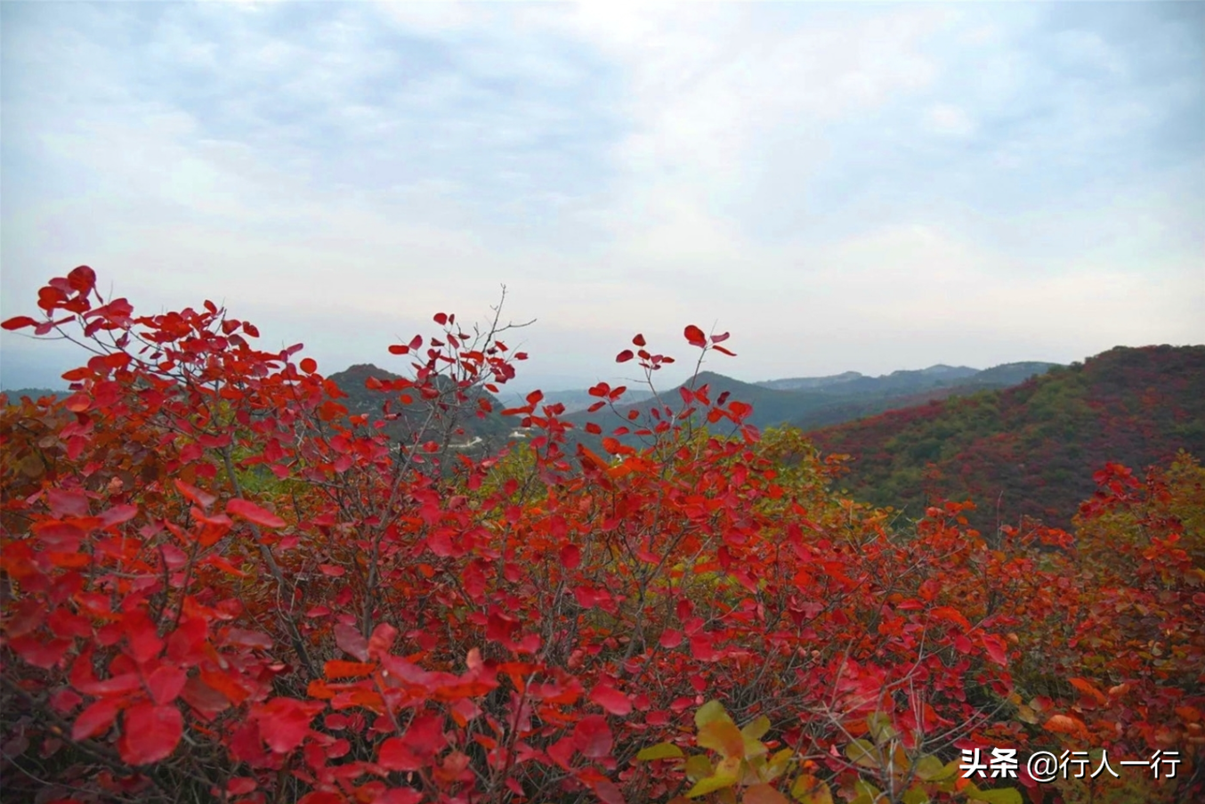 河南的秋天，这10大景区一定要去看看，每一处都美出仙境，还免费