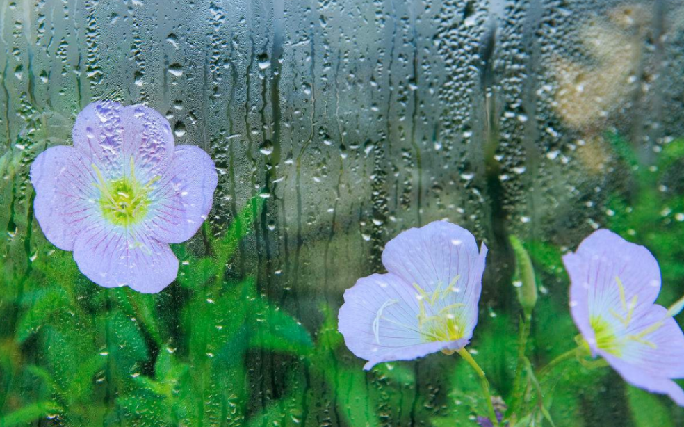 当暴雨遇见古诗词，十五首有关暴雨的诗词，欣赏暴雨的气势与景象​