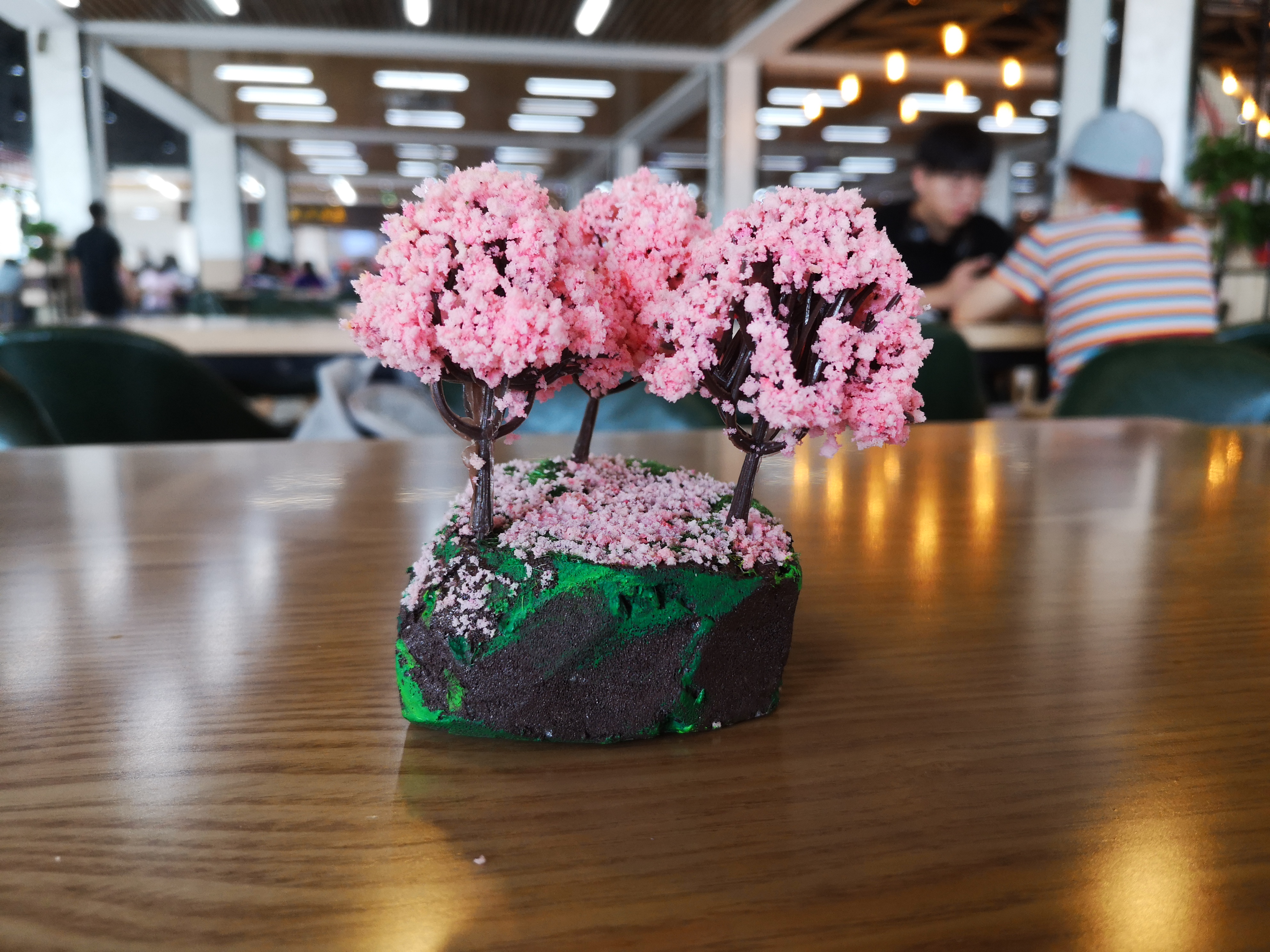 2019萌新“驾到”，中国药科大学带你直击现场！