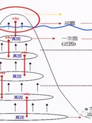 「精益学堂」5S管理｜整合版