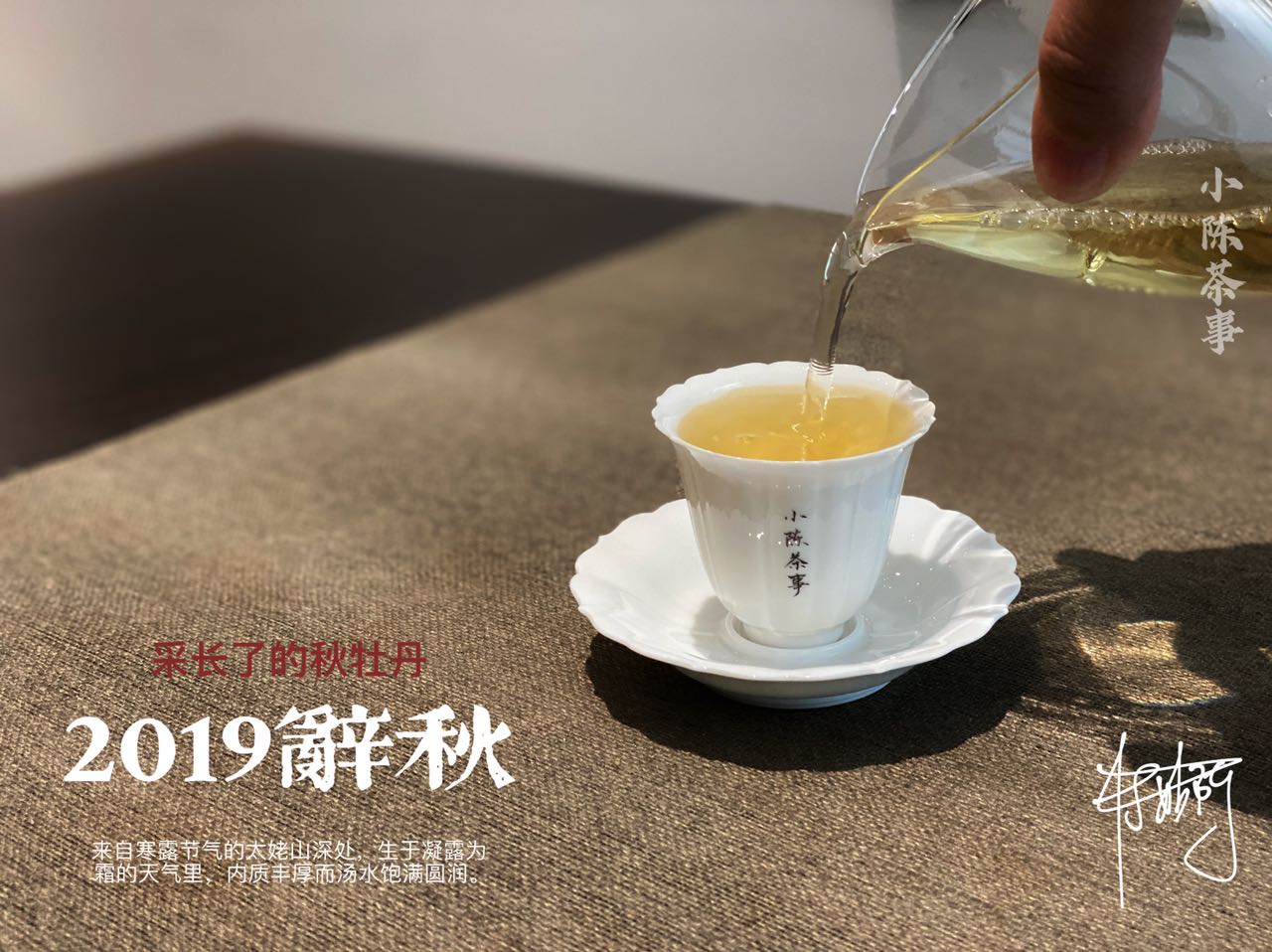新白茶涩，滋味薄，不满3年不能喝，6个角度教你一次性认清白茶