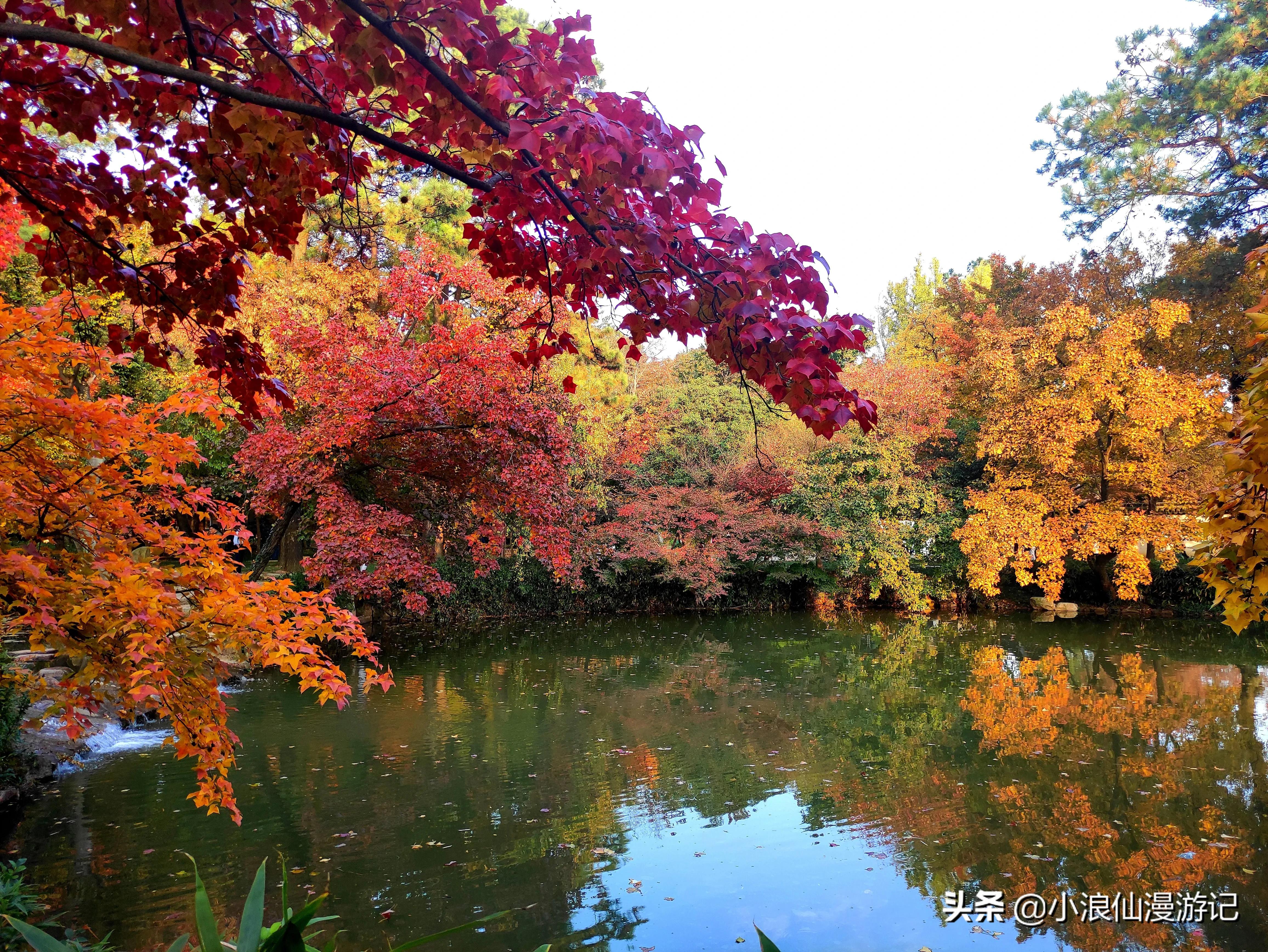参考)】,【4a级景区】;◇位置:苏州市吴中区灵天路天平山风景名胜区