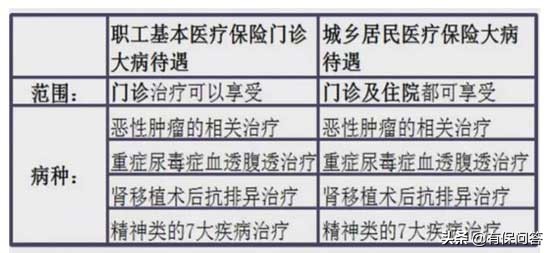 社保大病医保一年多少钱？