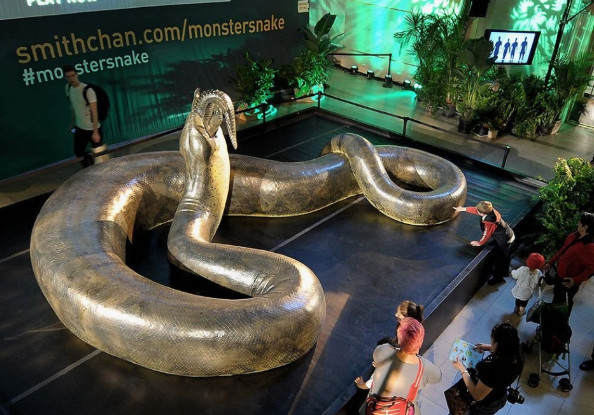 史前十大巨蛇：远古世界的恐怖掠食者
