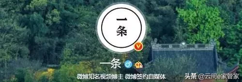 没想到这些大号他们“制造”出来的，这些大号你关注了哪些呢？