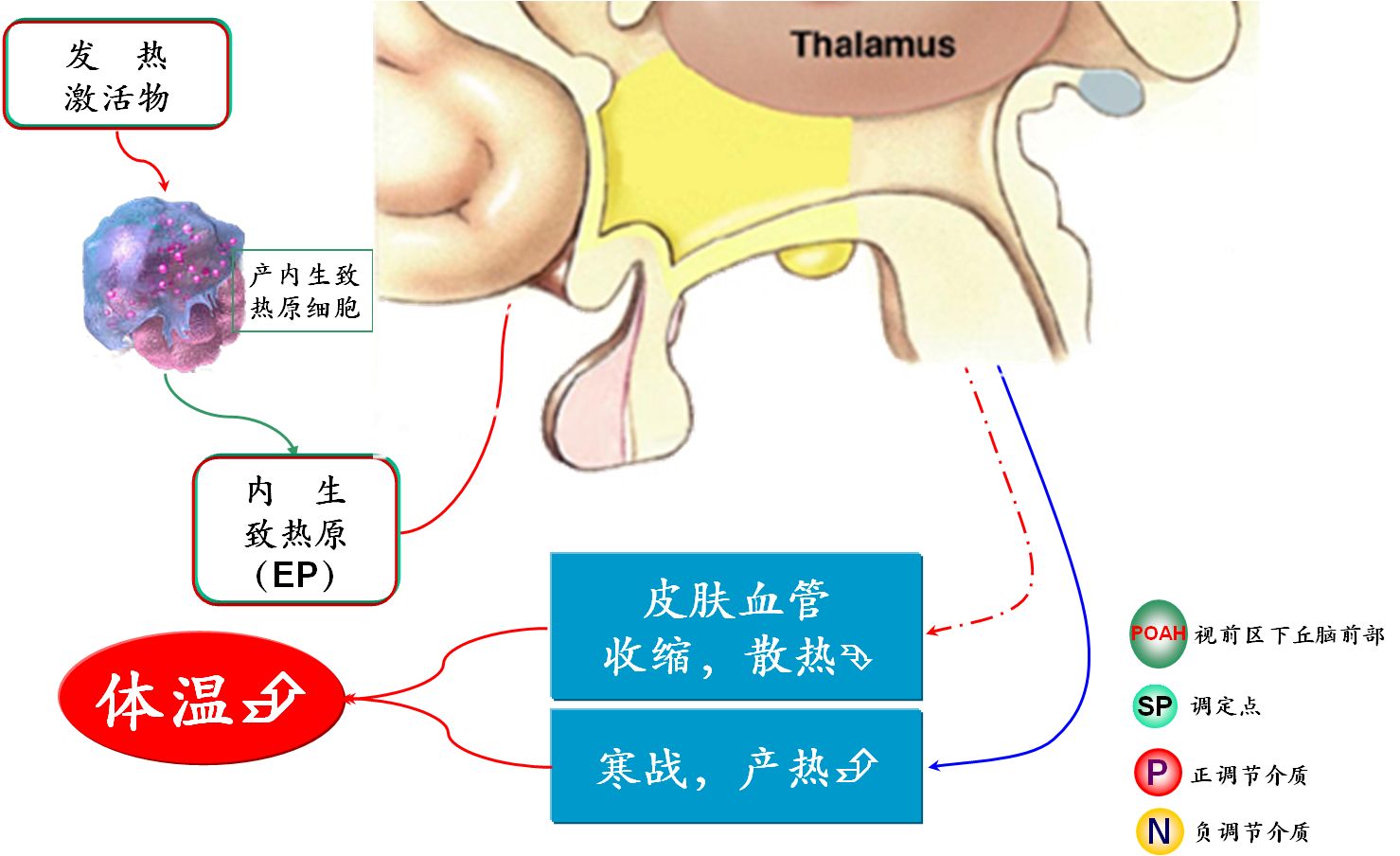 看似简单的儿童退烧药，但大部分家长还犯错？值得收藏