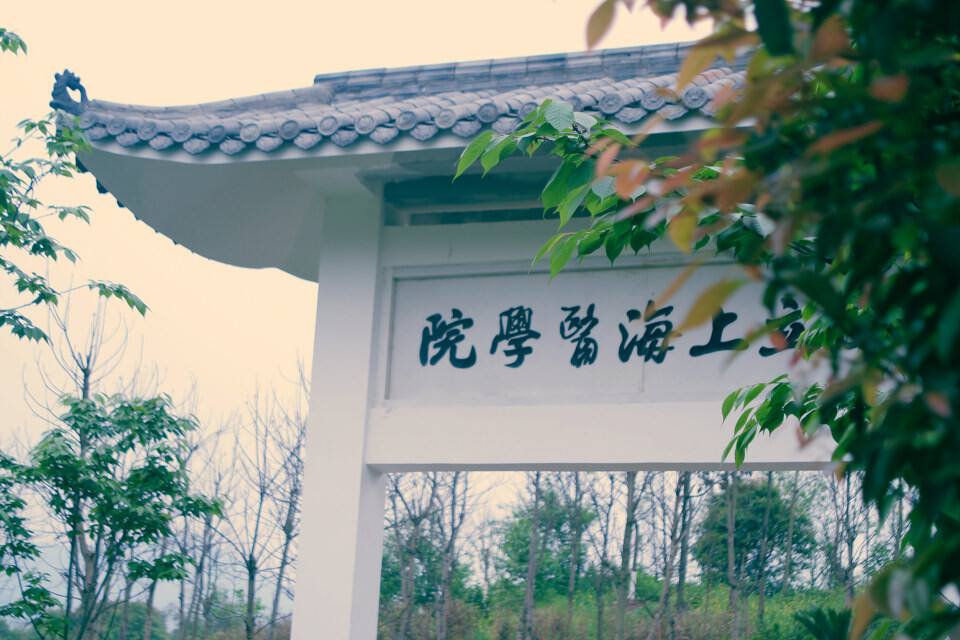 第六军医大学（亲戚关系的医科大学）