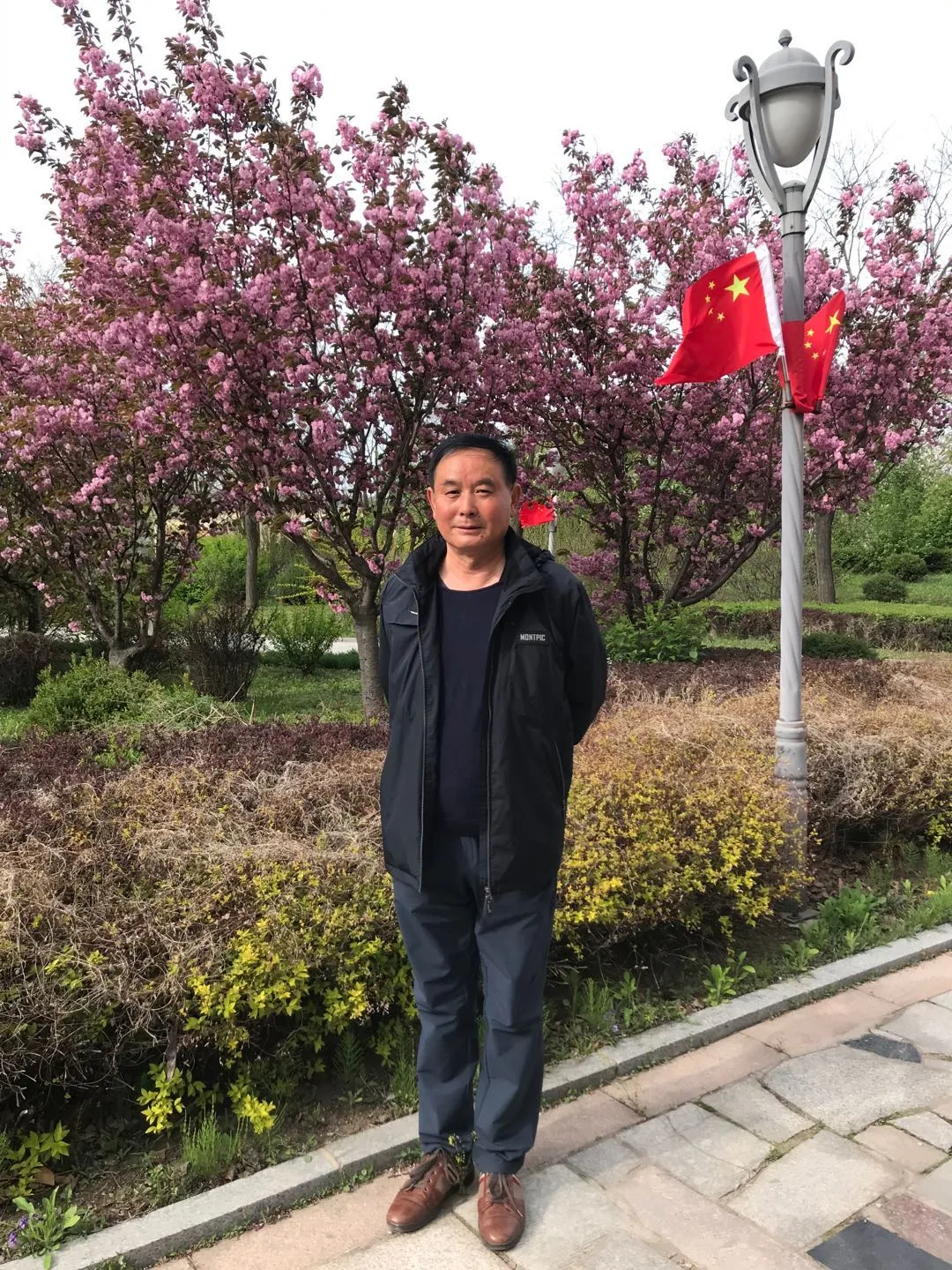 五月樱花诗六首