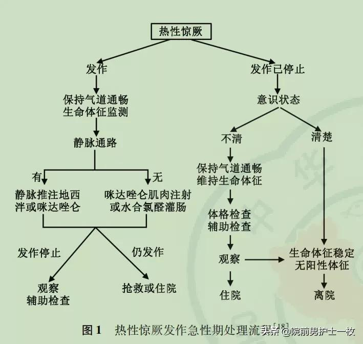 「干货」小儿高热惊厥如何处置