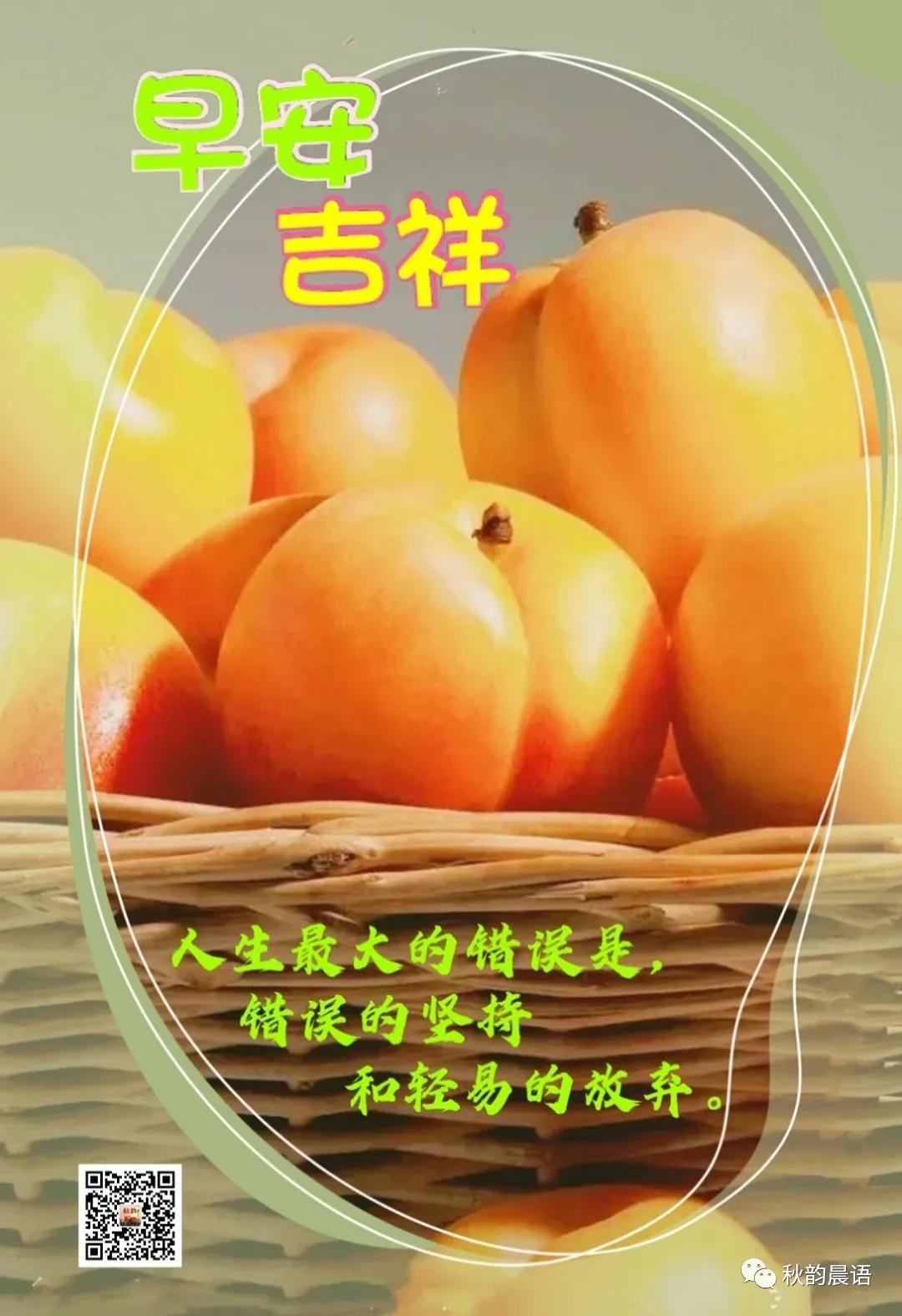 假如互联网突然中断