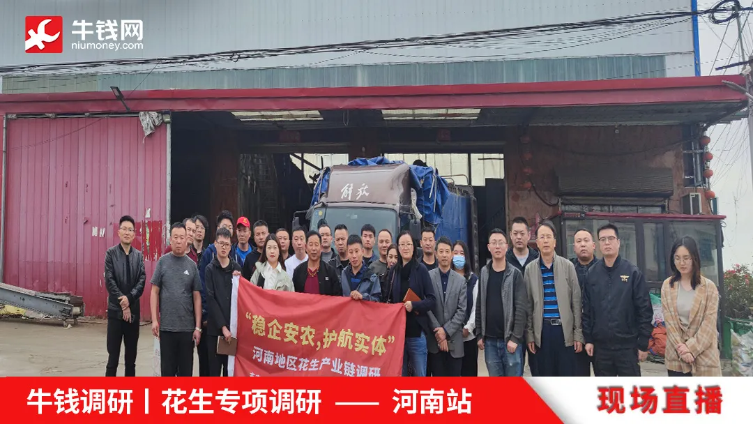 牛钱调研丨河南花生专项调研第一天