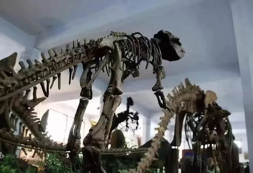 这，就是成都理工