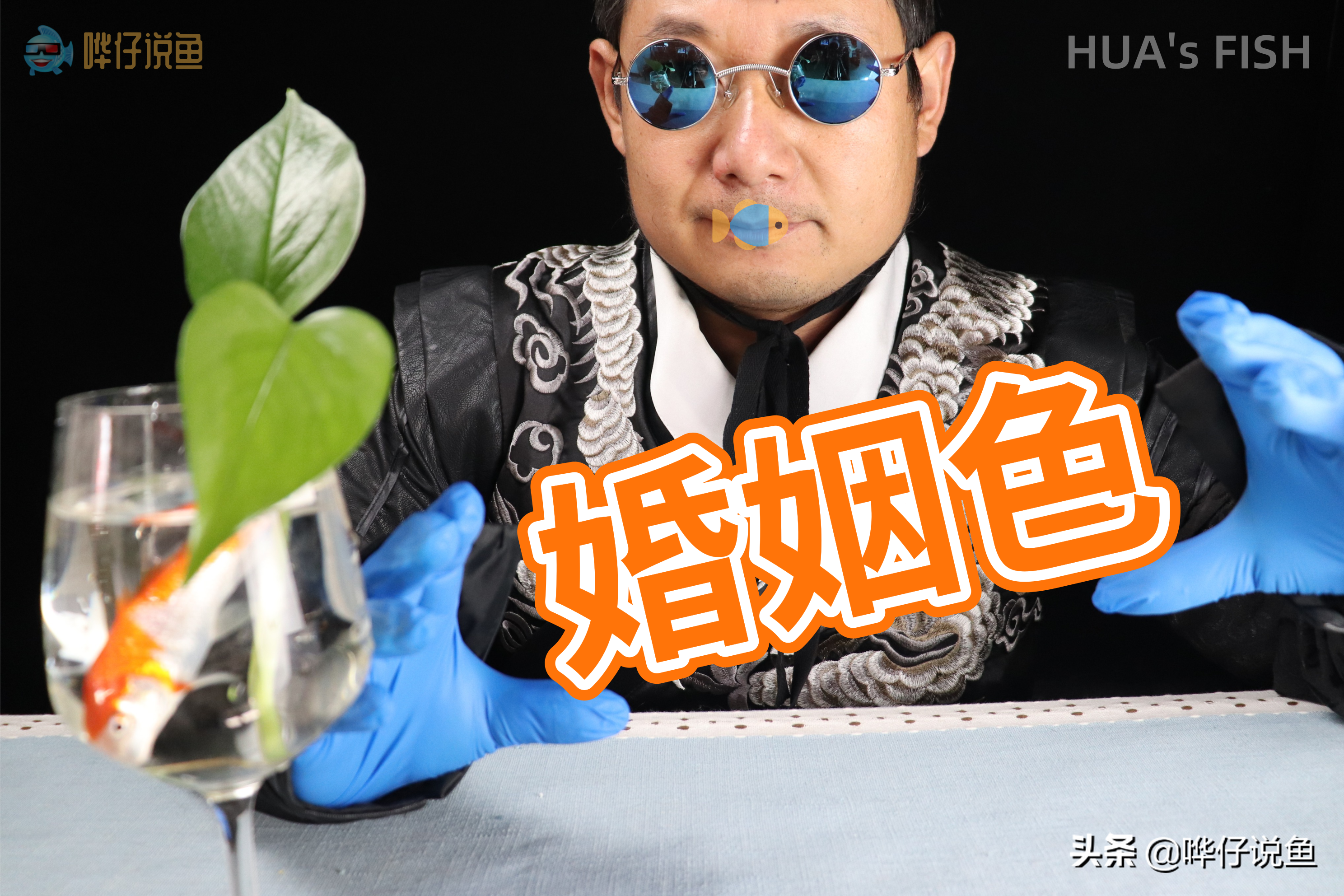 辟谣！鱼缸里打了红灯就一定可以让观赏鱼颜色鲜艳？您想得太美了