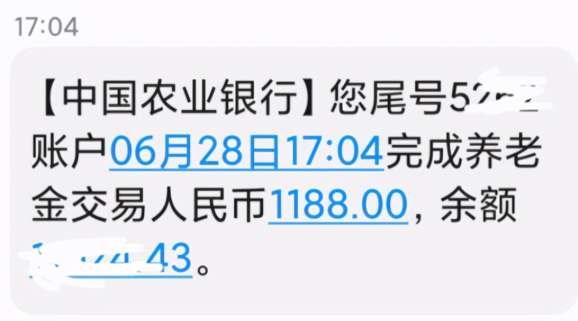 ?今天是6月底了，大多数省份养老金都已补发到位，你上调了多少？