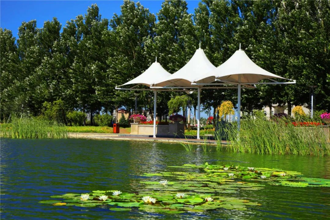 新区高校集结 | 网络铸魂 数字德育，走进黑龙江财经学院！