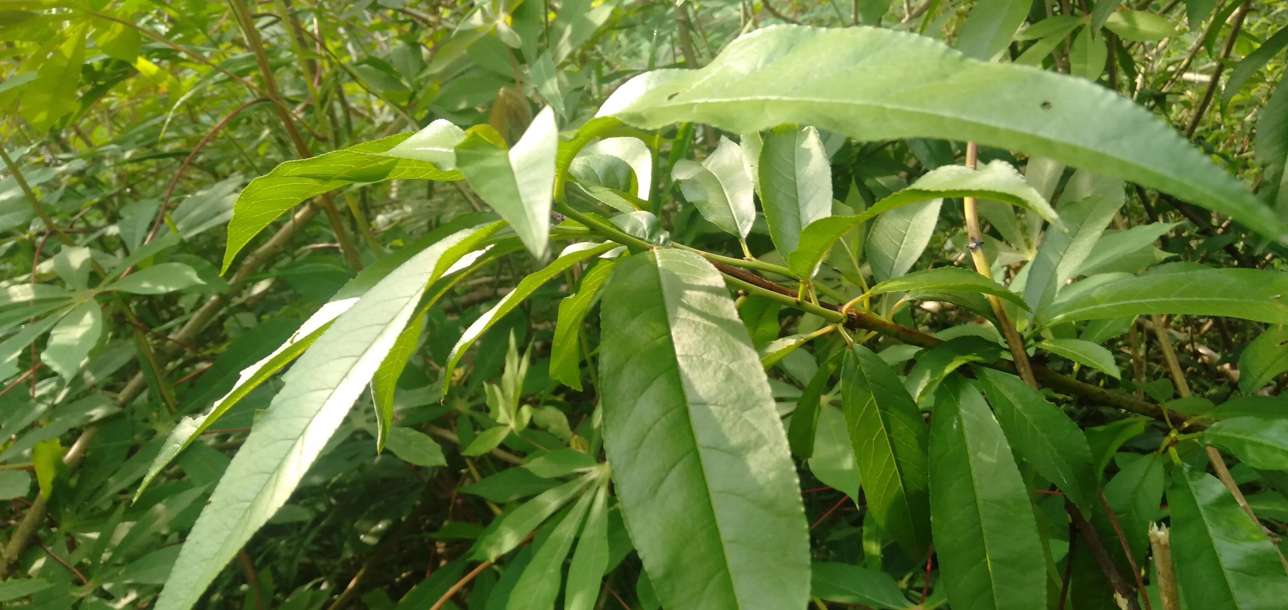 原来价值那么高