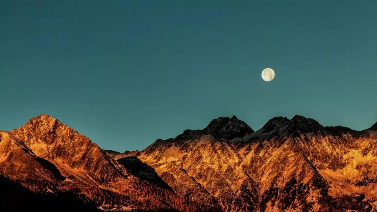 看懂了毛姆的《月亮與六便士》，才明白“心之所向，素履以往”