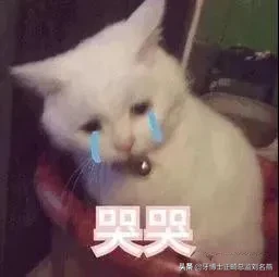 什么是预成冠?儿童乳牙的保护伞