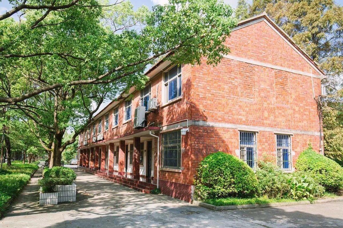 上海被“忽视”的5所一本大学，就业率高，适合普通学生