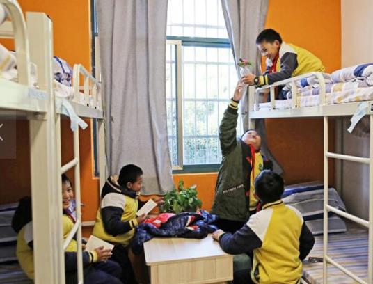 “无论如何不让孩子住校”，白岩松的建议，家长们别不当回事