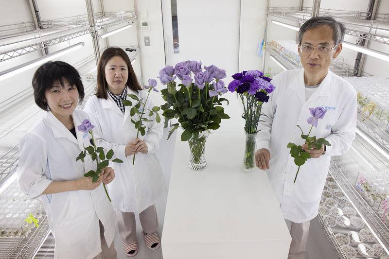 “研究村”里的牺牲品：这个国家不欢迎理科女