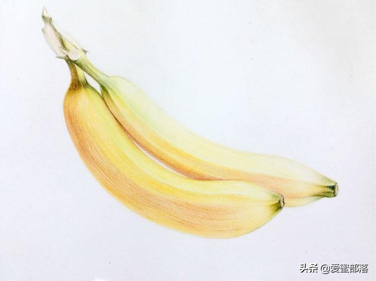 这类作品才能真正提高绘画能力，两只香蕉彩铅手绘教程