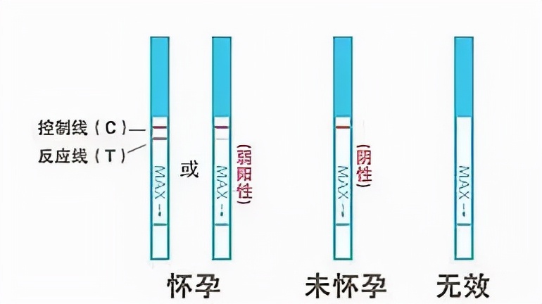 女朋友怀孕有没有什么症状？