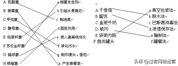 ab型血为什么叫变态(初中生物会考复习资料)