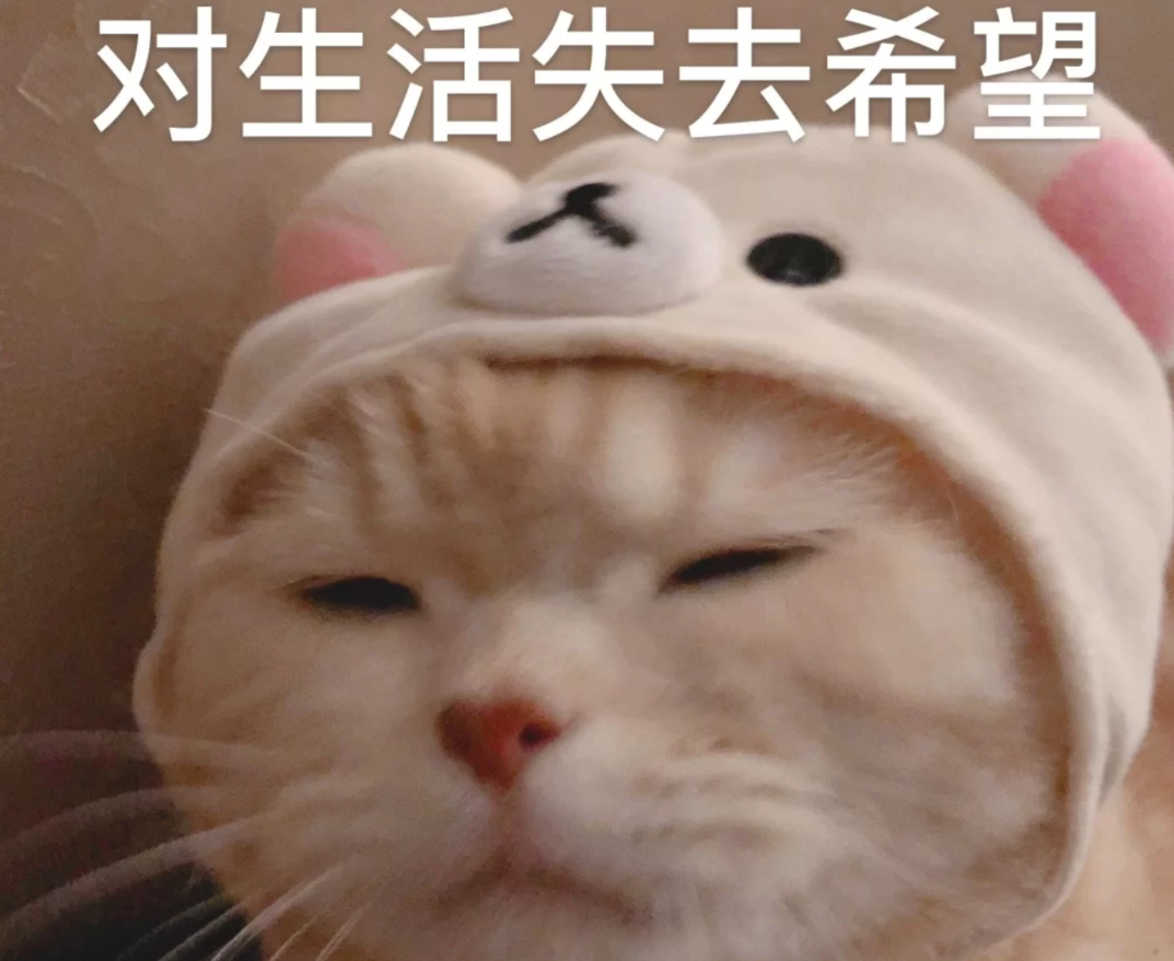 21年高考分数出炉，录取分数线让文科生“懵了”，复读班在招手了